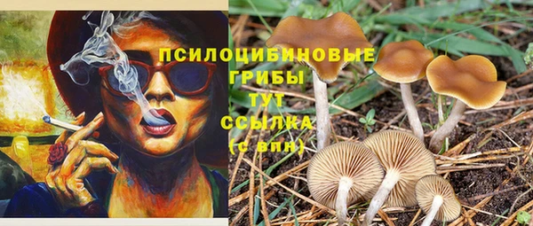 ГАЛЛЮЦИНОГЕННЫЕ ГРИБЫ Абинск