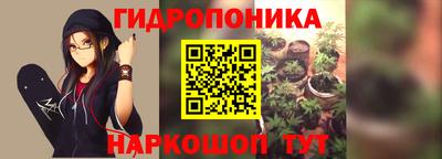 шишки Заводоуковск