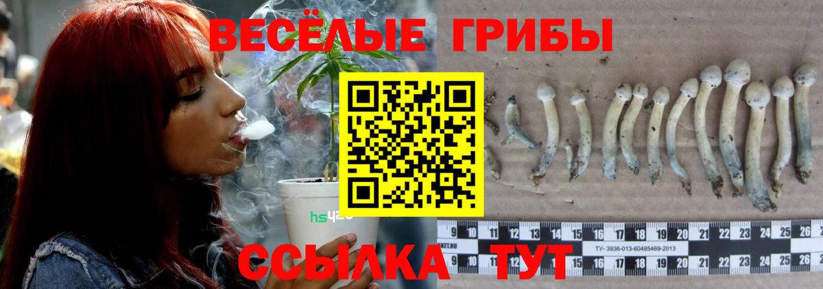 магазин    Псилоцибиновые грибы Psilocybe  Вход с VPN  Псилоцибиновые грибы MAGIC MUSHROOMS  Мыски 