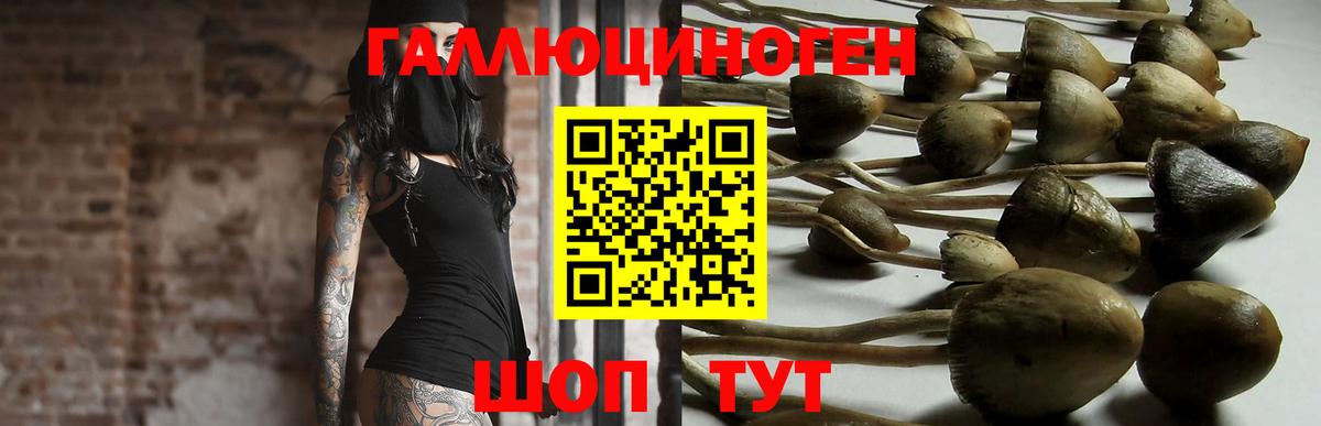 Псилоцибиновые грибы GOLDEN TEACHER Мыски